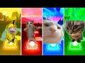 Banana Cat vs Happy Happy Happy Cat vs Vibing Cat vs Chipi Chipi Chapa Chapa Cat - Tiles Hop