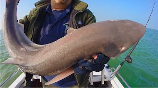 UNREAL FISHING from a TINY BOAT - BIG EELS \u0026 BULLHUSS