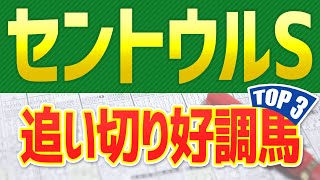 【セントウルステークス2022予想】追い切りが絶好調だったトップ3は？ ～JRAセントウルSの一週前と最終追い切り、馬体映像から分析～