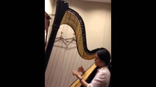 Misty performed on the harp by Kaoru Arai