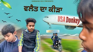 ਵਲੈਤ ਦਾ ਕੀੜਾ • Donkey USA • Harman 5911