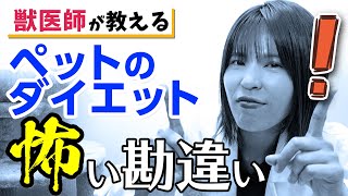 犬猫は人間と同じダイエット方法じゃダメなの！？  自己流の危険・おすすめのやり方などを獣医師が解説