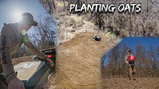 Spring Food Plot for Turkeys and Deer | Planting Spring Oats