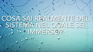 Cosa sai-Fase 3-Cosa sai realmente del sistema nel quale sei immerso?