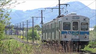 リンゴの花と岩木山と弘南鉄道