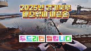 경기북부 배스낚시 시즌온🐟두드리면 열립니다! 배스잡으러 갑시다🎣가평배스🐟넥스빌포인트🐟북한강배스