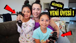 AİLEMİZE YENİ BİR ÜYE KATILDI ÇOK SEVİNÇLİYİZ SILA VE MİRA