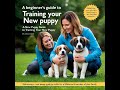 A Beginner's Guide to Training Your New Puppy