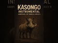 Harrycane x Dr Tawanda & Nelcy B - Kasongo Instrumental [Accompanied Audio By Mluhh 28]