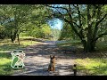 Losloopgebied Brunssummerheide Heksenberg Heerlen