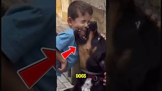 Top 5 Dogs That Could Kill You in Seconds ๐โ ๏ธ