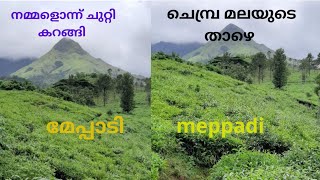 #ചെമ്പ്ര മലയുടെ താഴെ