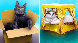 ¡Dueños De Mascotas Ricos Versus Pobres!