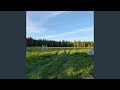 Midsommar
