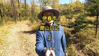 秋高气爽，爬山途中惊现一灰色小蛇，头呈三角形，极具攻击性