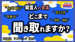 【韓国語リスニング講座】韓国人の会話、どこまで聞き取れますか？【 妹のアイドルオーディション 】- ep.22 - (初級韓国語, 막둥이, 눈이 삐다, 시험에 붙다 \u0026 떨어지다  등등)