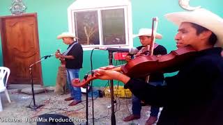 Trio Supiro Huasteco de El Gavilan Ixcatepec Veracruz 2018 Video 2