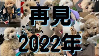 Karla 🐶噏｜終於成為新人類🧟再見2022，請大家2023繼續支持我哋💓☺️