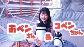 【東山奈央】グランピングにペンギンさんたちも来ちゃいました！