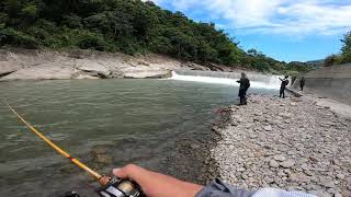 北港溪開心釣遊 路亞 / 何氏棘魞 /軍魚/ 捲仔 / 鯰魚 / 曲腰 / 烏溪 / 國姓