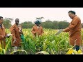 CGIAR: Feeding our future