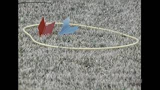 WFAA Report on Lawn Darts - December 1970