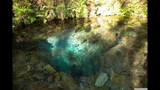 JG 4K HDR 大分 男池湧水の冬と春(名水百選) Oita Oike Springs(Water 100)