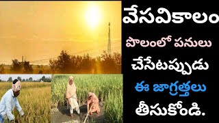 వేసవికాలం లో ఈ 6 జాగ్రత్తలు పాటిస్తే చాలు || Summar || Mana Rythu