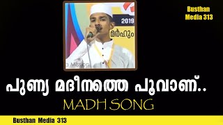 പുണ്യ മദീനത്തെ പൂവാണ് / Latest Madh Song