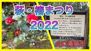 萩・椿まつり　山口県萩市