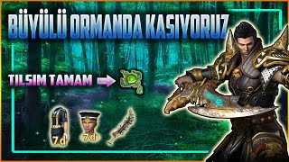 Büyülü Ormanda Kasmaya Başladık | Kostüm Seti/Tılsım Tamam | Metin2 Tr Dandanakan