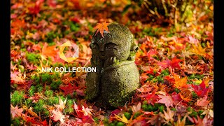 NIK Collection 5 使用浅谈