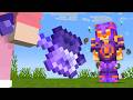 I Ruled A Youtuber SMP