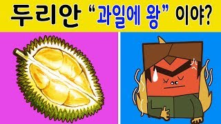 두리안 효능 과일의 왕으로 알려진 두리안효능 및 두리안 부작용 알아보겠습니다.