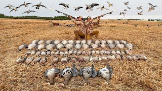 EPIC Canada Duck & Goose Hunt Opener! (70 Bird Mixed Bag)