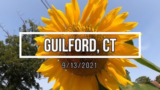 4K Virtual Walking Tour- Guilford, CT (No Music or Talking)