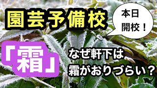 【霜って何？】なぜ軒下は霜がおりづらいのか？　なぜ霜はおりるのか？等　霜について学べる動画です#ガーデニング #霜