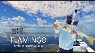 Fishing the Florida Everglades | Catching Fish in Less than 1 ft of Water