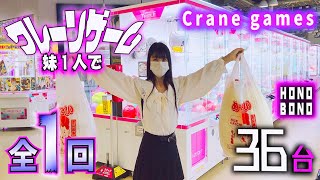 クレーンゲーム全1回ほのぼの1人で36台チャレンジ！？のはずが…【のえのん番組】