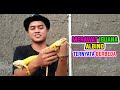 CARA MERAWAT IGUANA ALBINO UNTUK PEMULA  | GIL EXOPETS