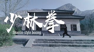 China Kungfu: Shaolin Style Boxing