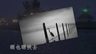 月夜相思曲：华语群星