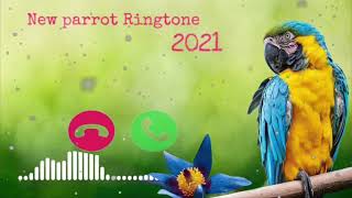 PARROT  Sms Ringtone 2021, Notification Tone, love ringtone