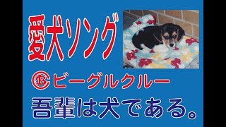 ［公式］ビーグルクルー「吾輩は犬である。」／リリックビデオ_Full