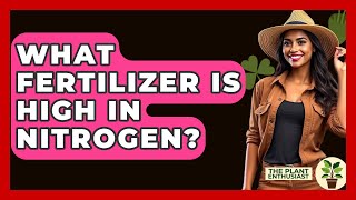 What Fertilizer Is High In Nitrogen? - The Plant Enthusiast