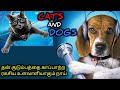 கலகலப்பான காமெடி திரைப்படம்|TVO|Tamil Voice Over|Tamil Dubbed Movies Explanation|Tamil Movies