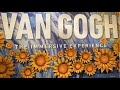 Van Gogh Immersive Experience - Washington DC