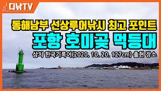 동해남부 선상루어낚시 최고 포인트 '포항 호미곶 먹등대' (삼치 한국기록어(2020. 10. 20. 127cm) 출현지) [디낚TV]