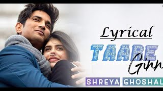 Taare Ginn Lyrical Video | Eros Lyrics | Dil Bechara |  Sushant Singh Rajput |  Sanjana Sanghi