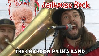 Jailhouse Rock - CPB LIVE @ Cleveland Kurentovanje